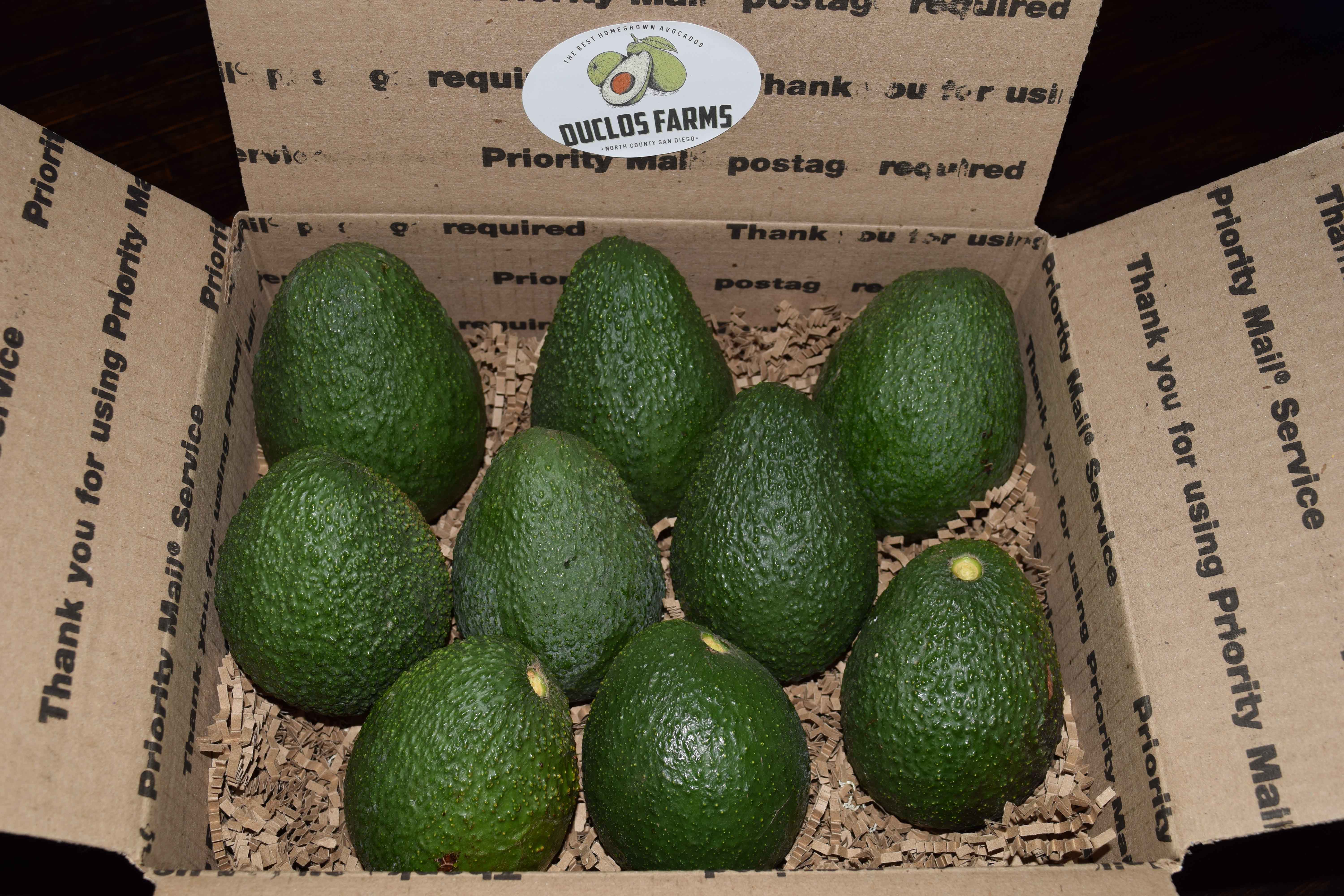 Bagged avocado consumer preference up 9%